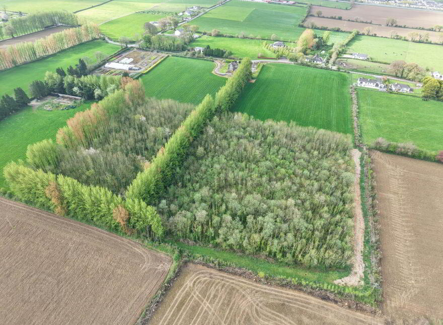 Fiddown Nurseries, Corloughan, Piltown