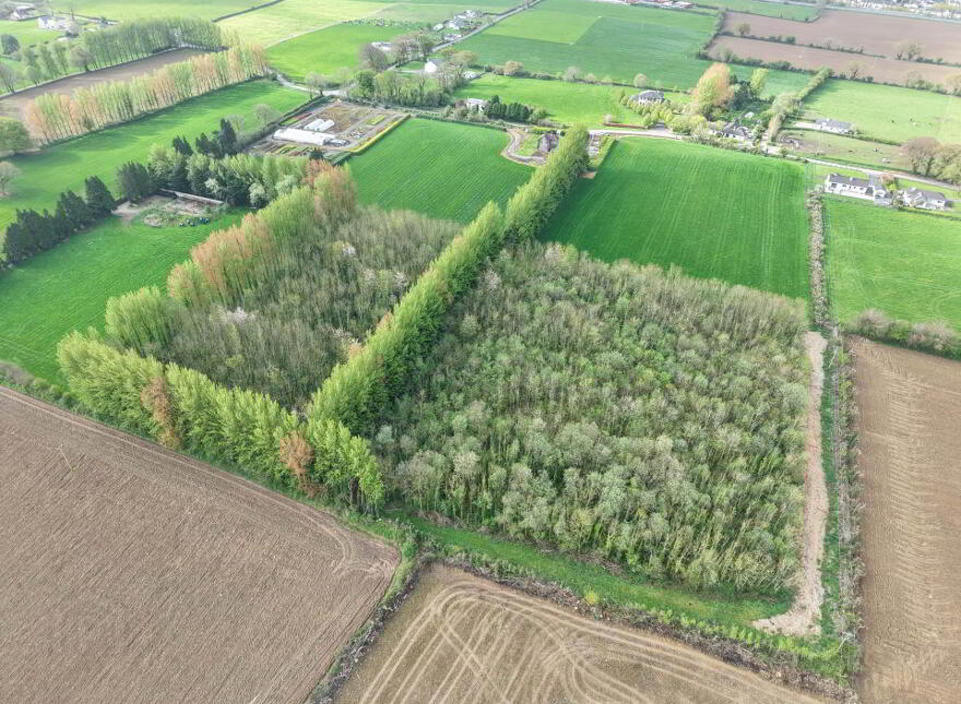 Fiddown Nurseries, Corloughan, Piltown