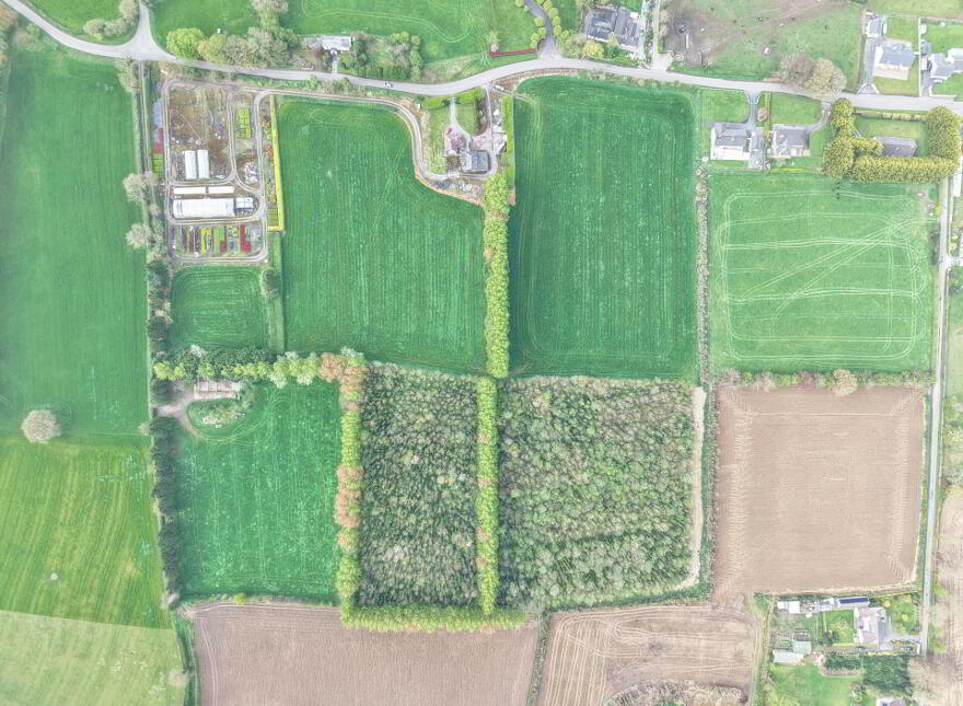 Fiddown Nurseries, Corloughan, Piltown