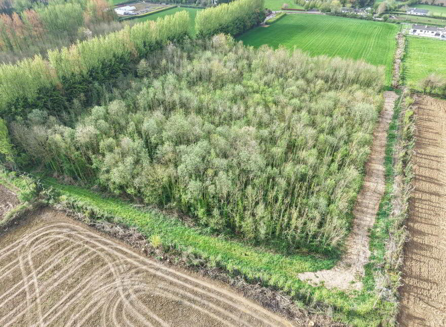 Fiddown Nurseries, Corloughan, Piltown