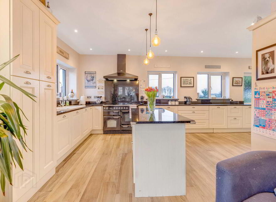 Phillinstown, Kildalkey, C15H242