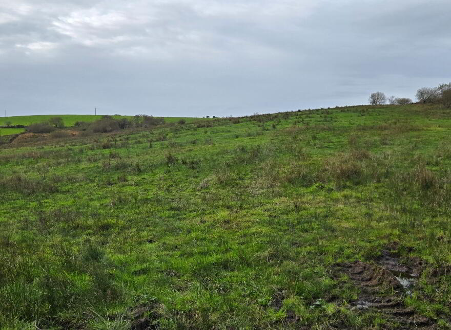 67 Acre Farm, 52 Barr Road, Fintona, BT78 3PR