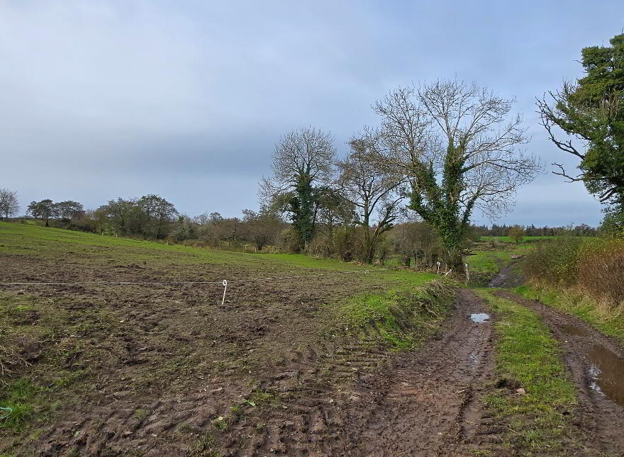 67 Acre Farm, 52 Barr Road, Fintona, BT78 3PR