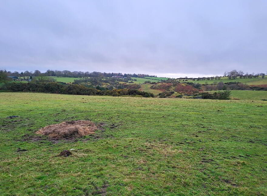 Crehelp, Dunlavin, W91F2H1