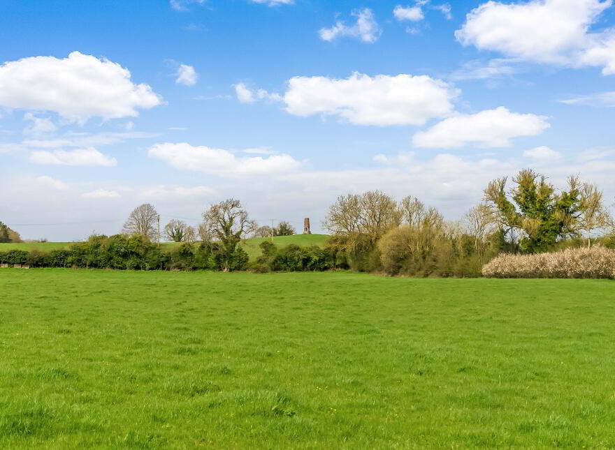 10.5 ACRES, Dangan, Summerhill
