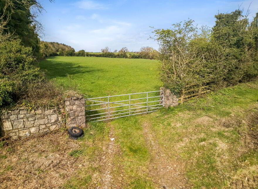 10.5 ACRES, Dangan, Summerhill