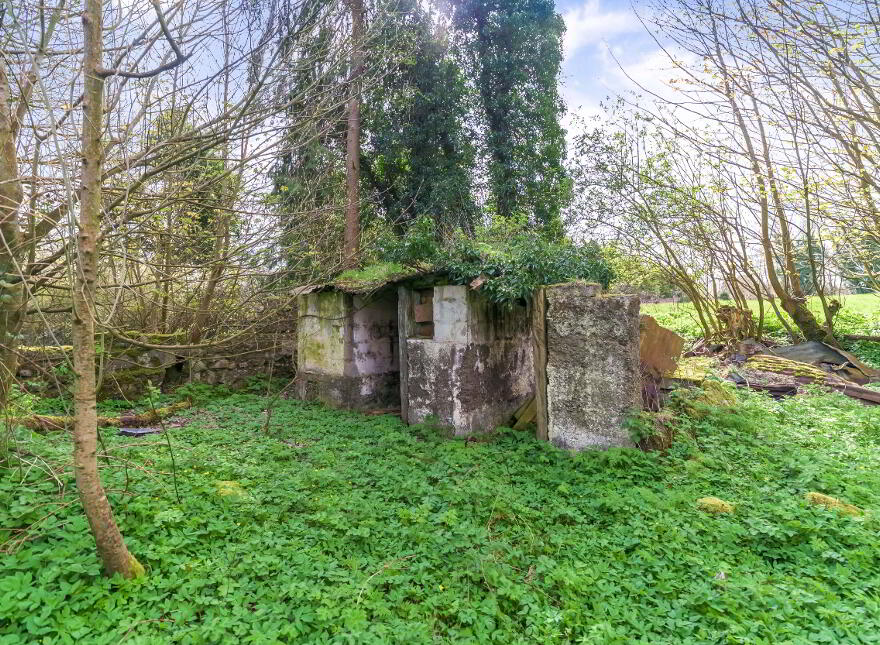 10.5 ACRES, Dangan, Summerhill