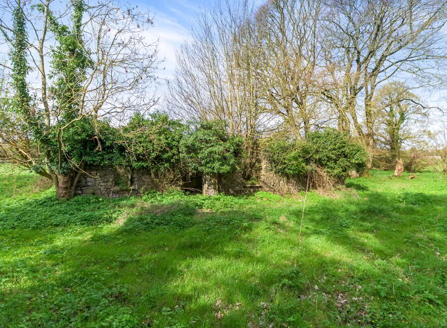10.5 ACRES, Dangan, Summerhill