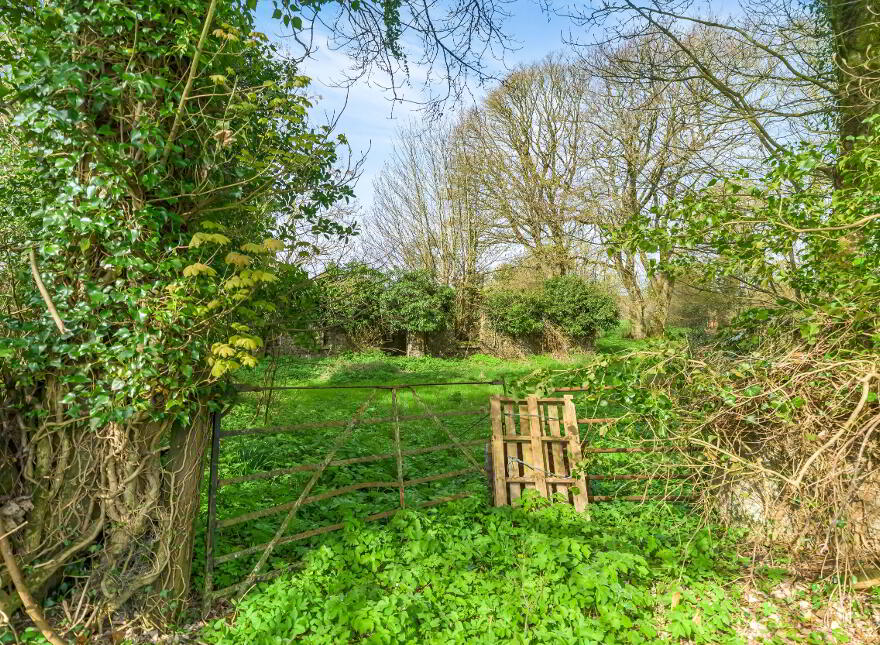 10.5 ACRES, Dangan, Summerhill