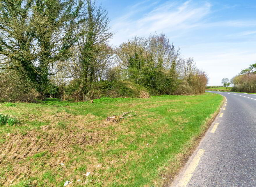 10.5 ACRES, Dangan, Summerhill