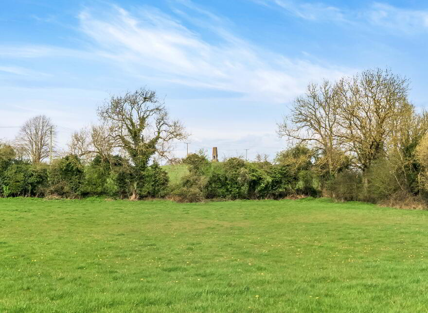 10.5 ACRES, Dangan, Summerhill