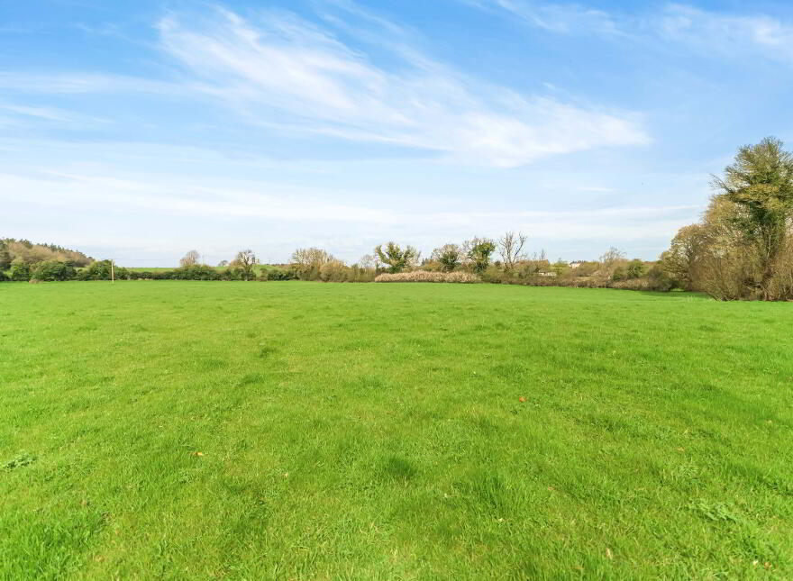 10.5 ACRES, Dangan, Summerhill