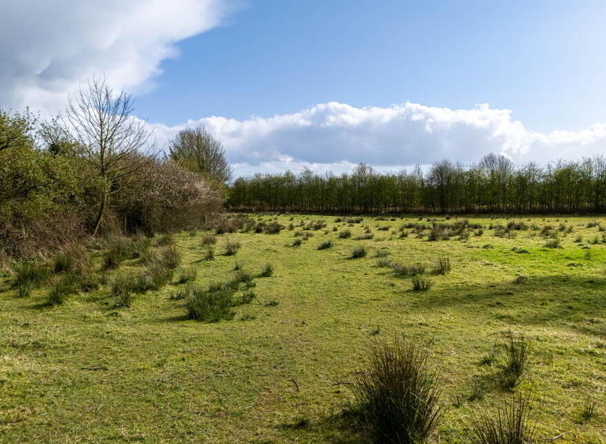 Ard, Geashill