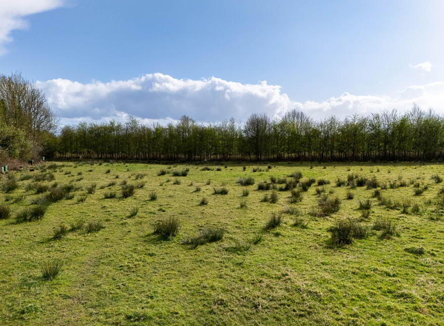 Ard, Geashill