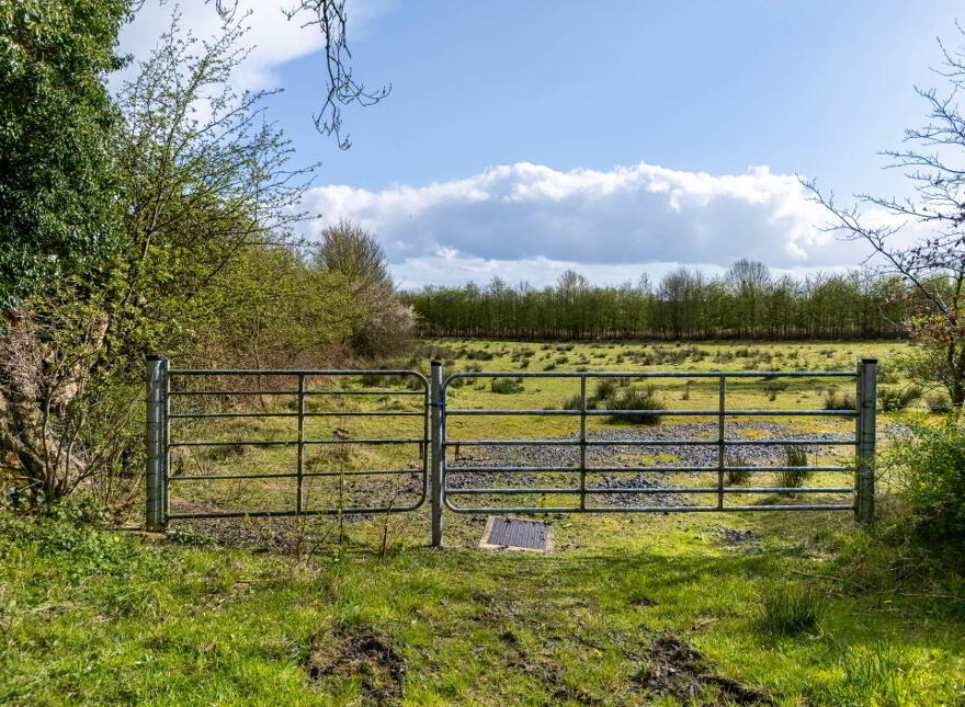 Ard, Geashill