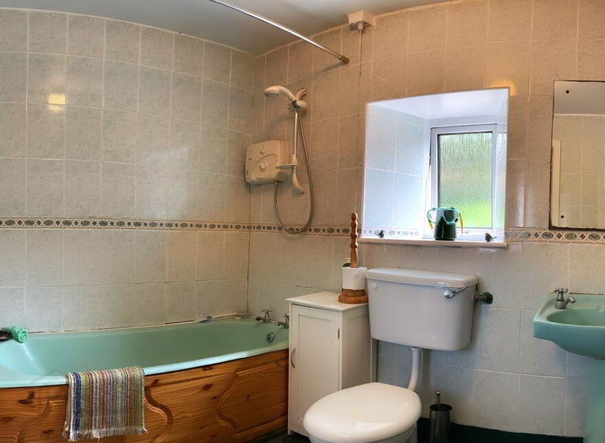 Magdala, Deerpark, Baltinglass, W91AV31