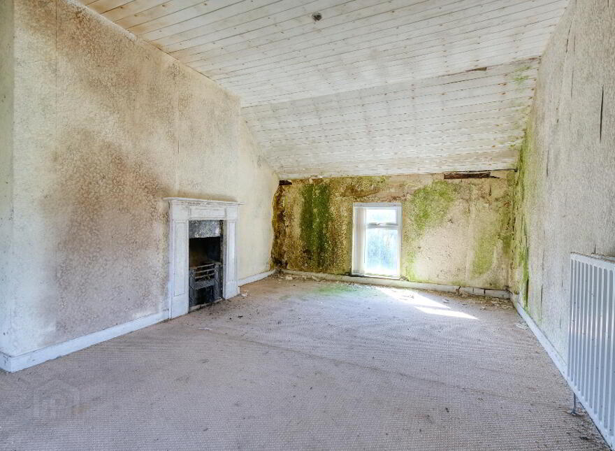 Caggle, Strokestown, F42YW93