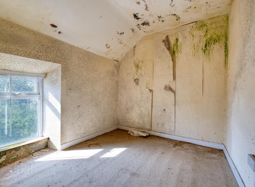 Caggle, Strokestown, F42YW93