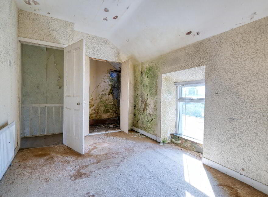 Caggle, Strokestown, F42YW93