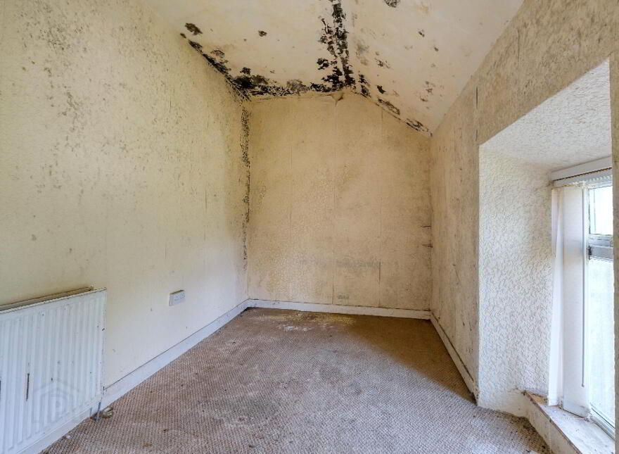 Caggle, Strokestown, F42YW93