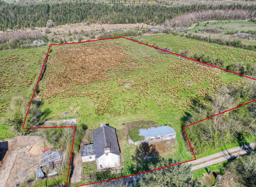 Caggle, Strokestown, F42YW93