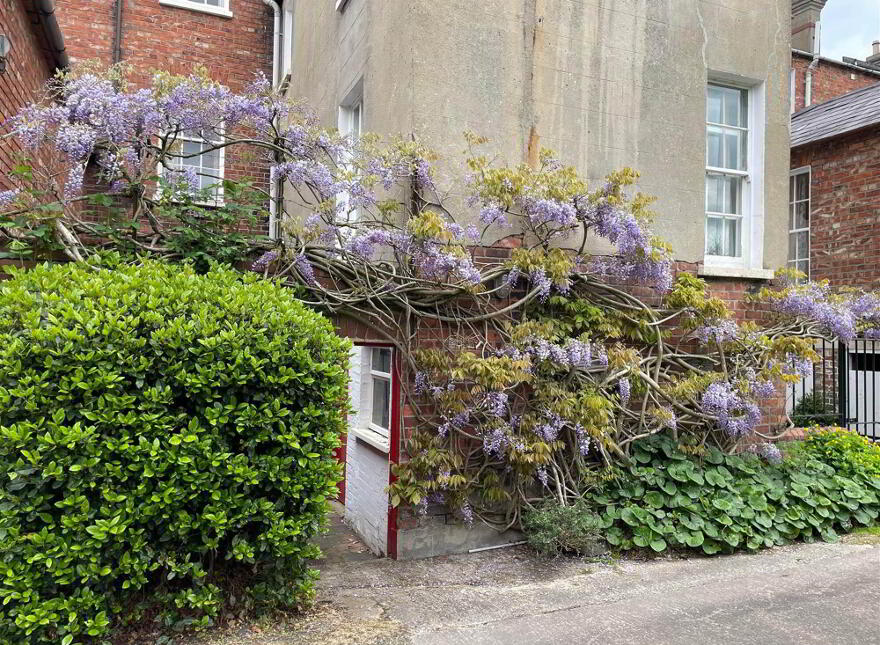 27 Rugby Road, Belfast, BT7 1PT