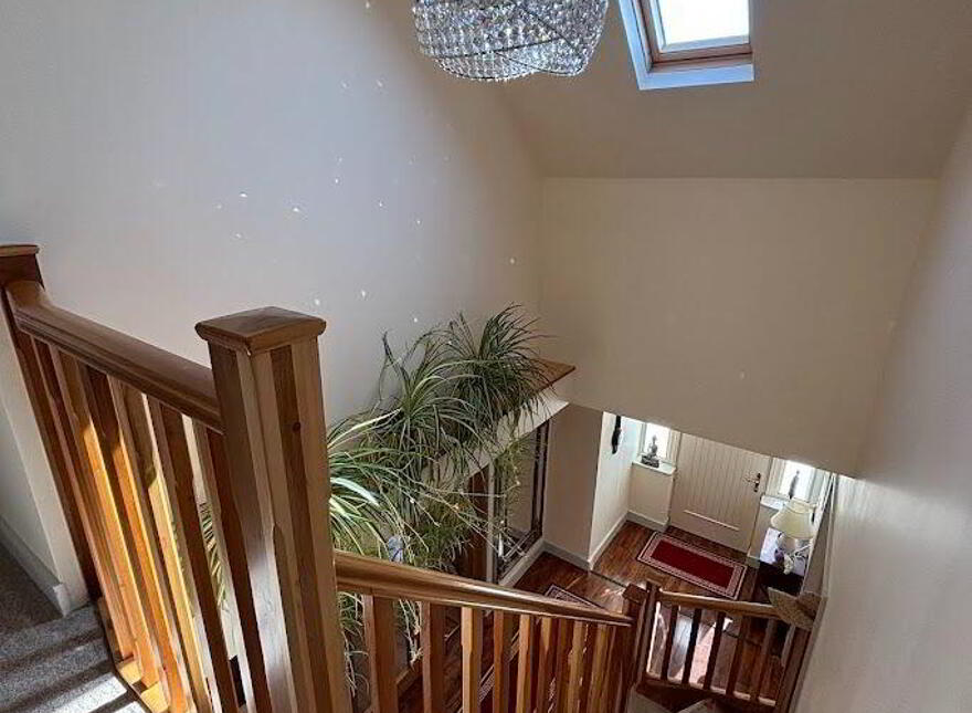 Moyarta East, Kilkee, Carrigaholt, V15E657