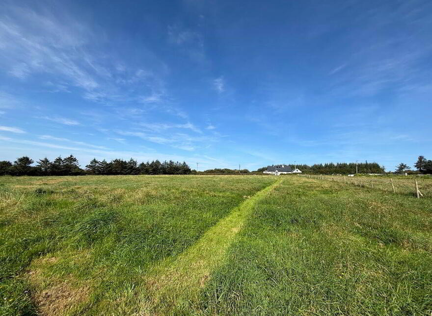 Moyarta East, Kilkee, Carrigaholt, V15E657