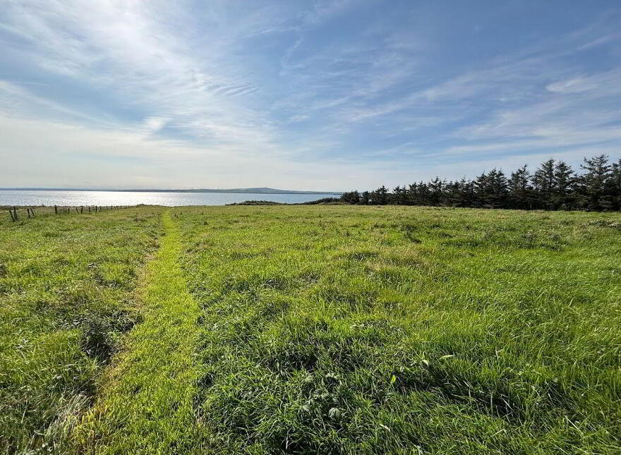 Moyarta East, Kilkee, Carrigaholt, V15E657