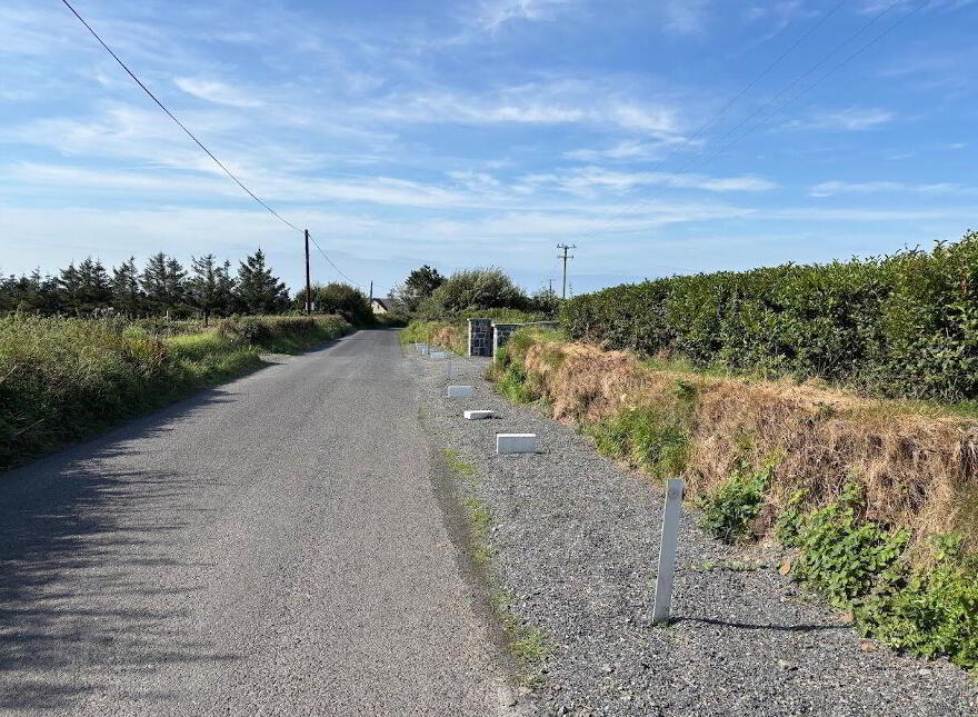 Moyarta East, Kilkee, Carrigaholt, V15E657