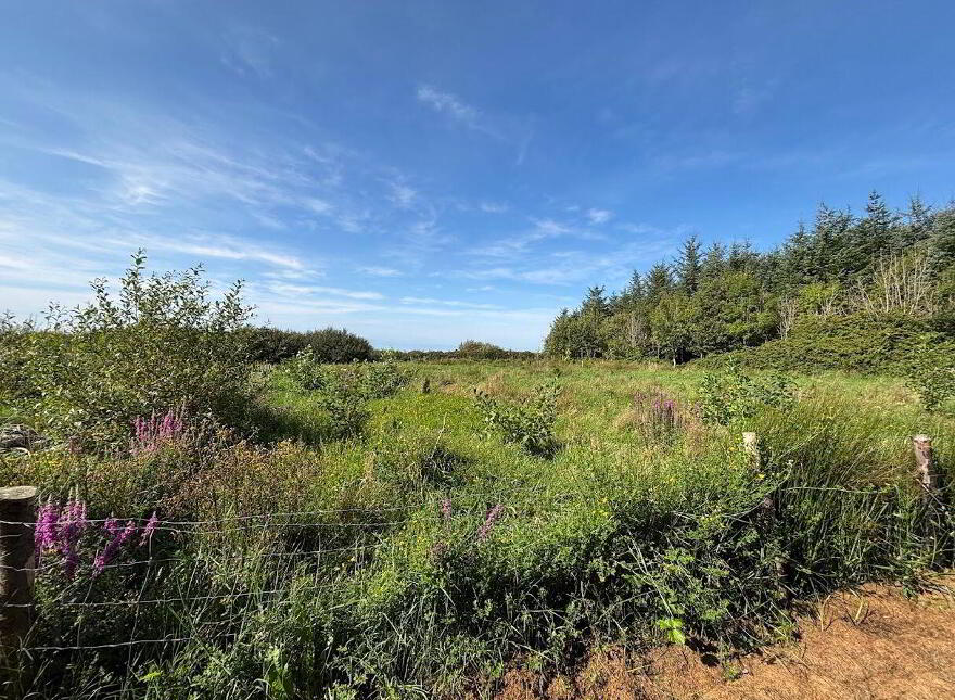 Moyarta East, Kilkee, Carrigaholt, V15E657