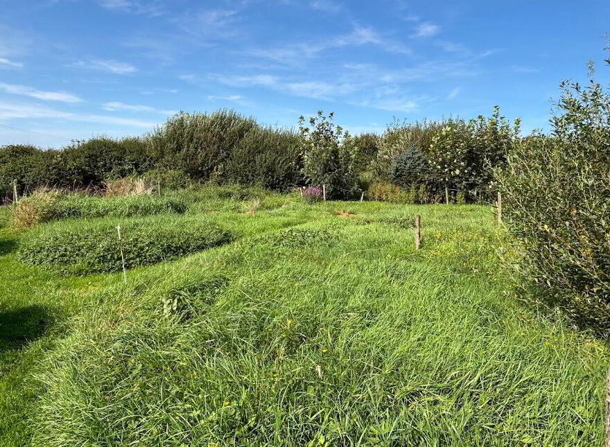 Moyarta East, Kilkee, Carrigaholt, V15E657