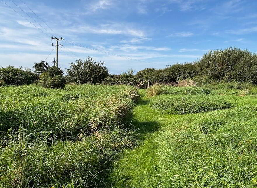 Moyarta East, Kilkee, Carrigaholt, V15E657