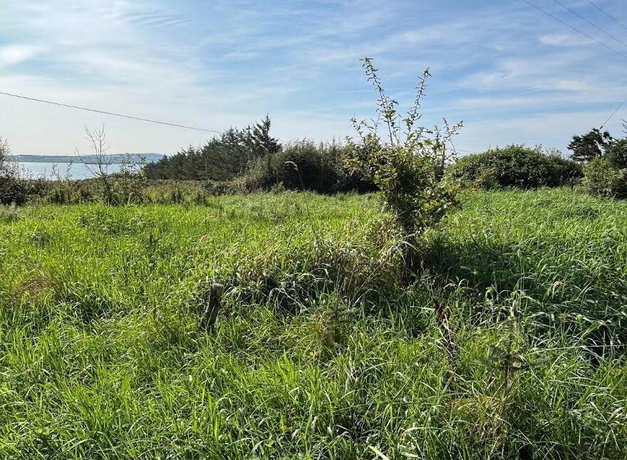 Moyarta East, Kilkee, Carrigaholt, V15E657