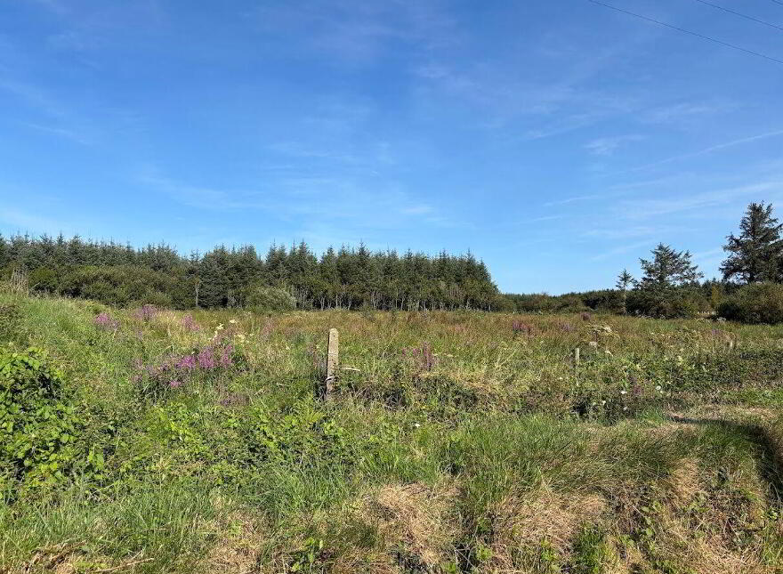 Moyarta East, Kilkee, Carrigaholt, V15E657
