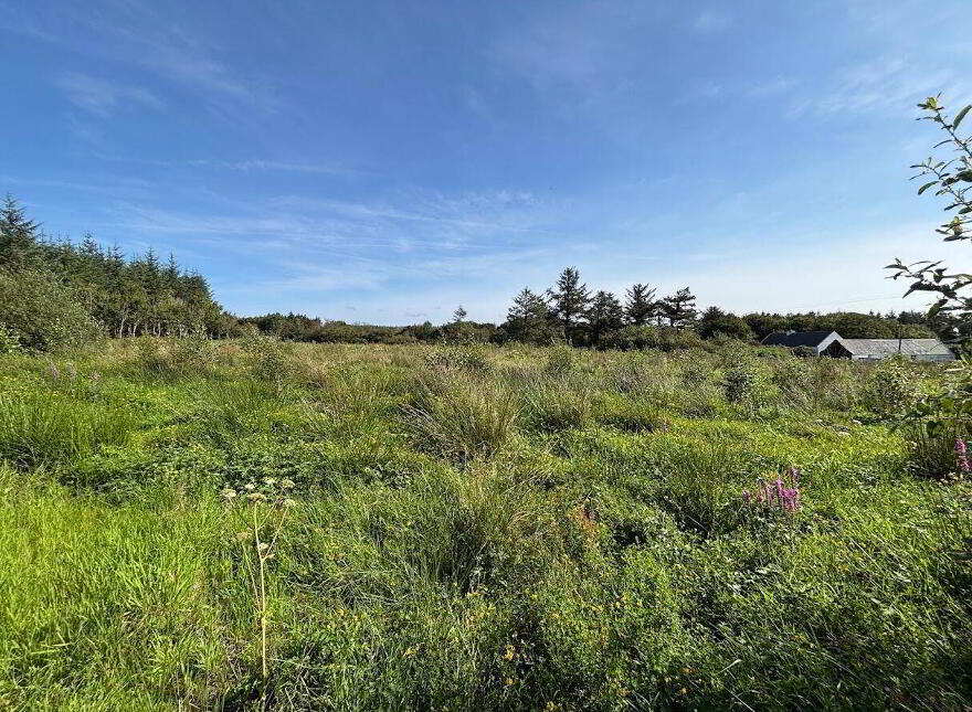 Moyarta East, Kilkee, Carrigaholt, V15E657