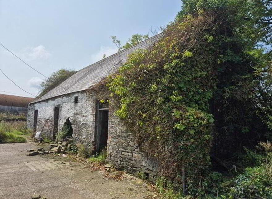 Killeaney, Glin