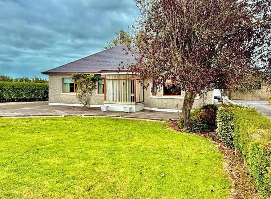 Moanleana, Newcastle West, V42NC44