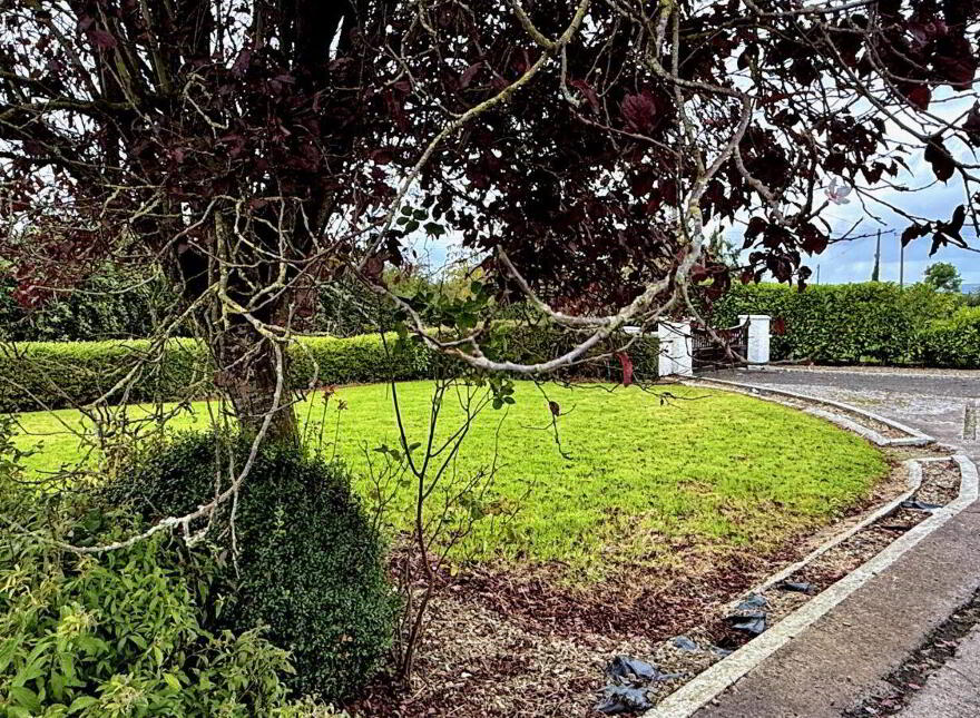 Moanleana, Newcastle West, V42NC44