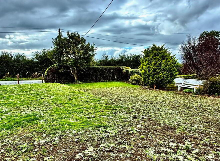 Moanleana, Newcastle West, V42NC44