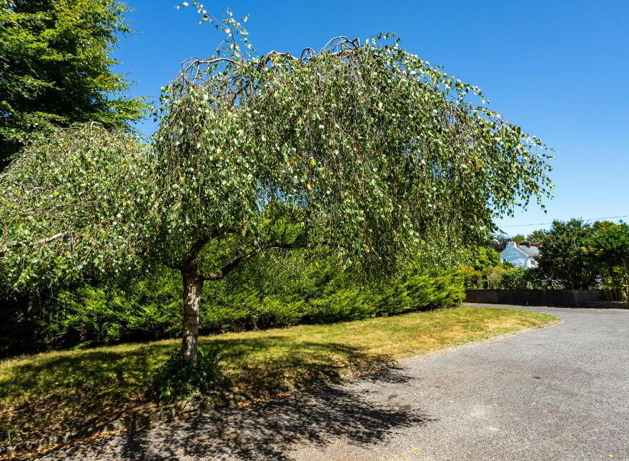 Castle Road, Bandon, P72Y942