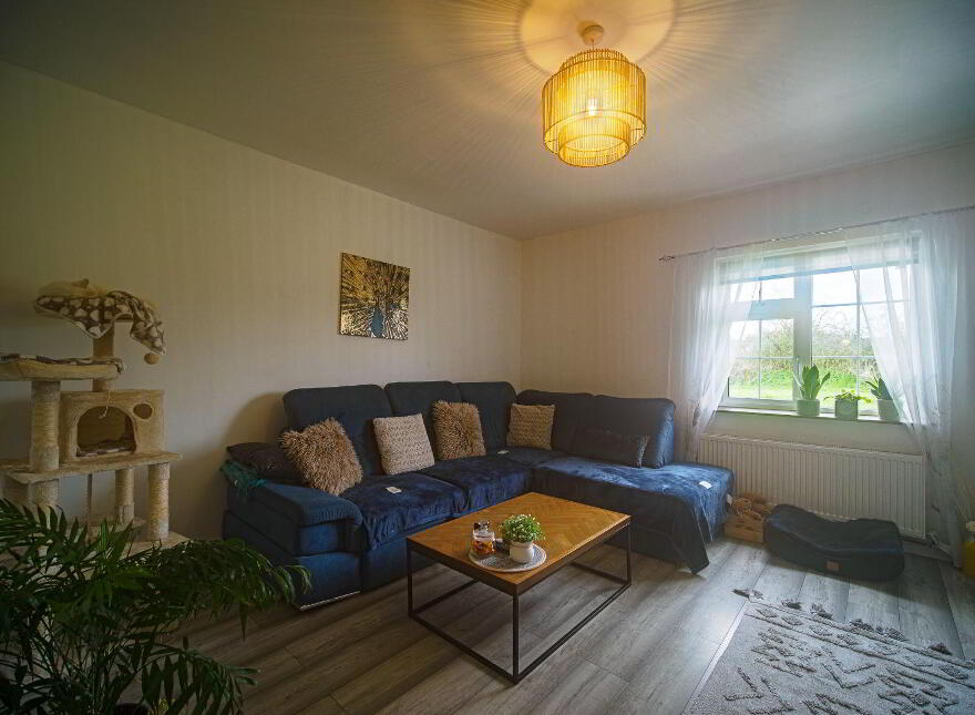 Camas, Newcastle West, V42AX50