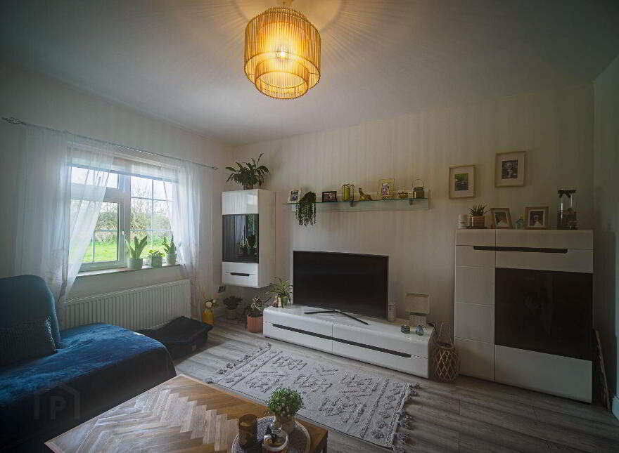 Camas, Newcastle West, V42AX50