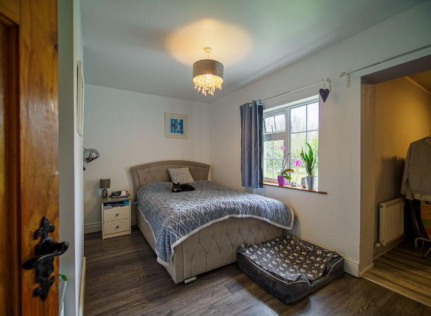 Camas, Newcastle West, V42AX50