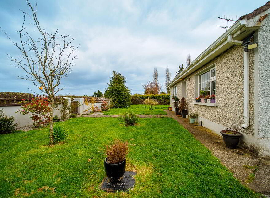 Camas, Newcastle West, V42AX50