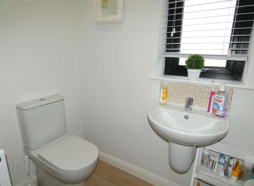 13 Millbrooke Avenue, Ballymoney, BT53 7FL