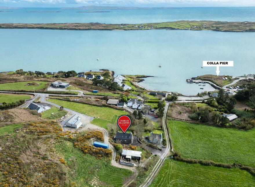 Toad Hall, Colla, Schull, P81X821