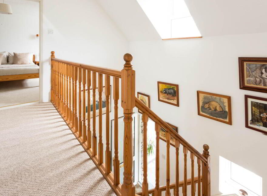 Toad Hall, Colla, Schull, P81X821