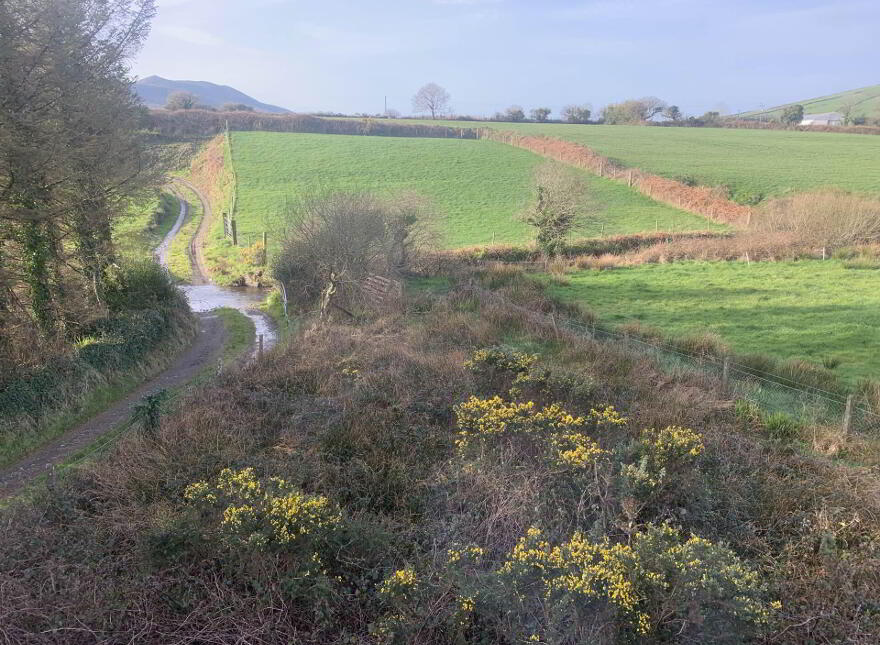 Anagap, Annascaul