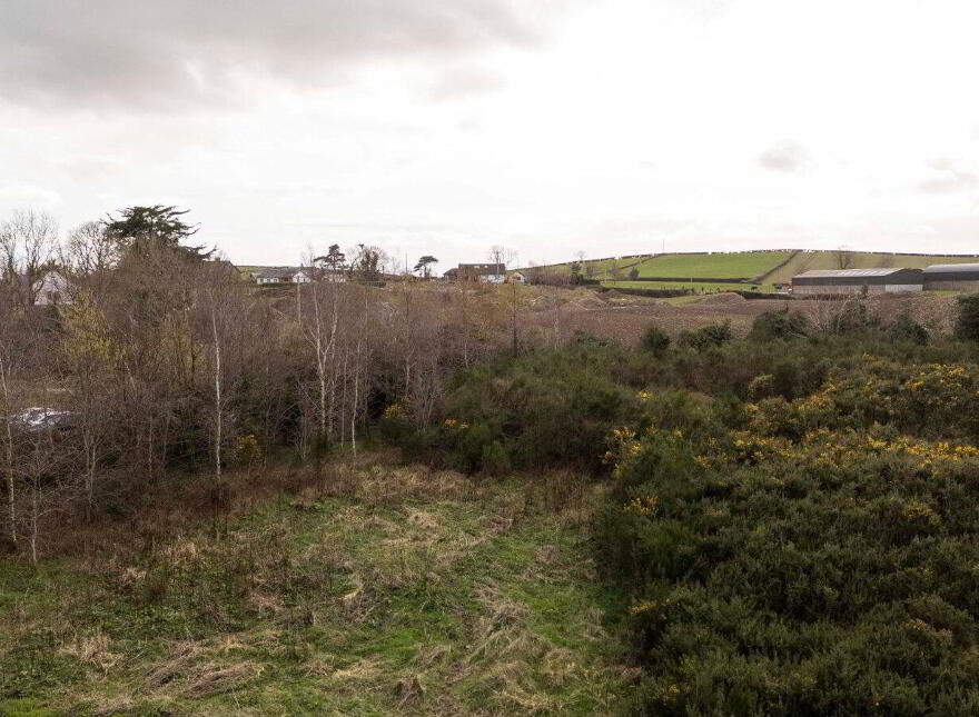Site Adjacent To, 54 Church Road, Crossgar, Downpatrick, BT30 9HR